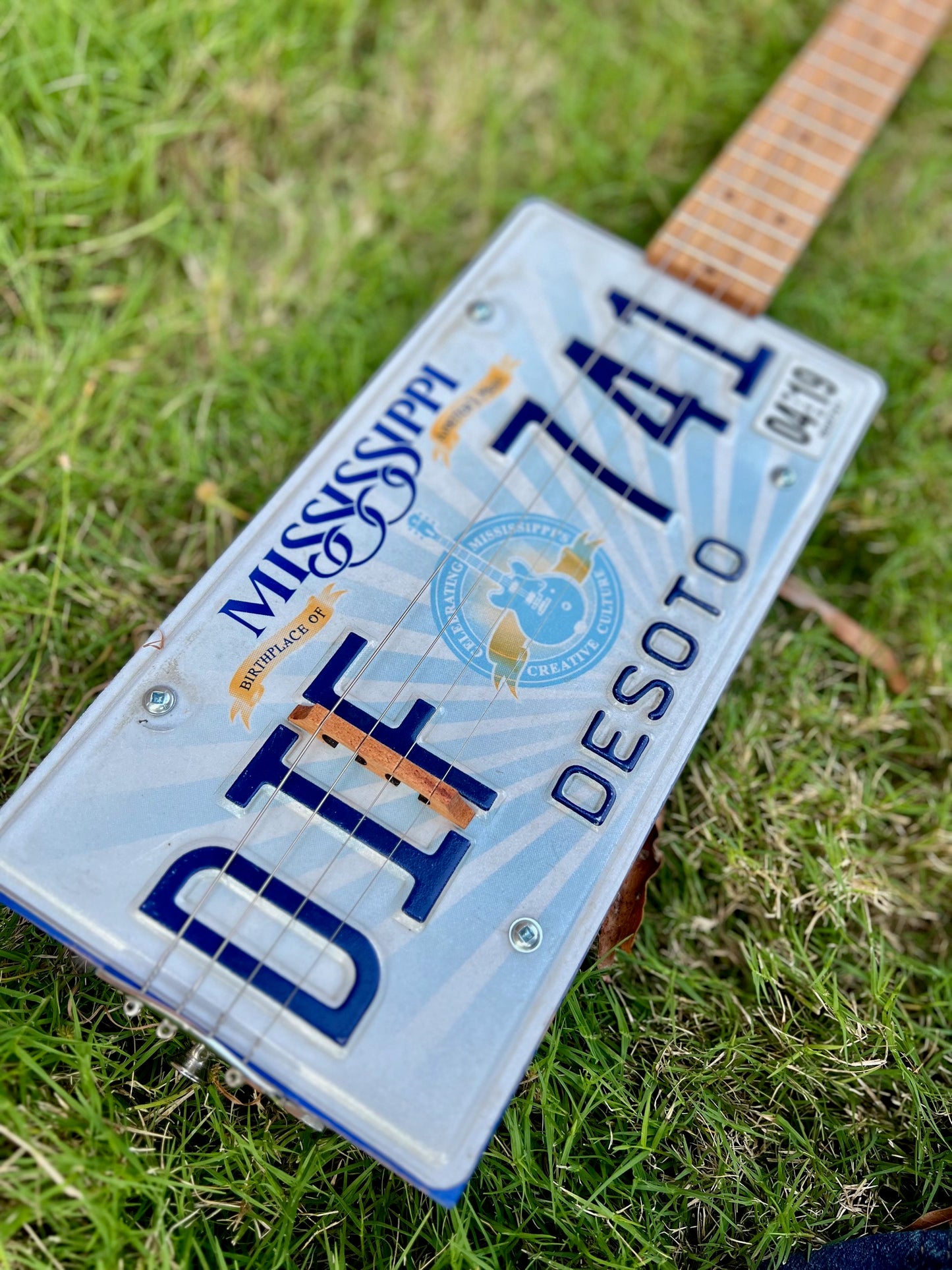 License Plate Resonator