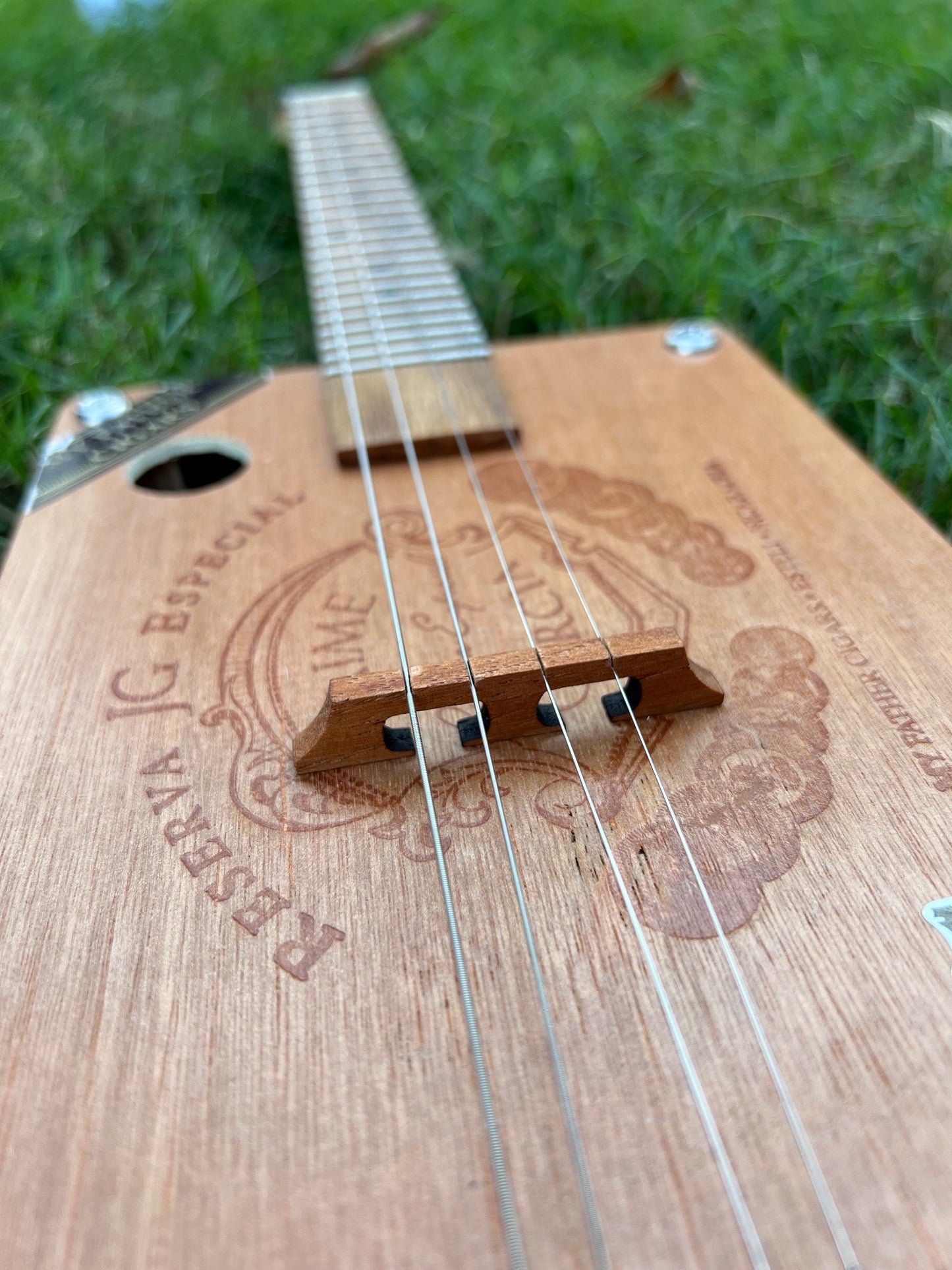 Cigar Box Guitar (Jaime Garcia box)